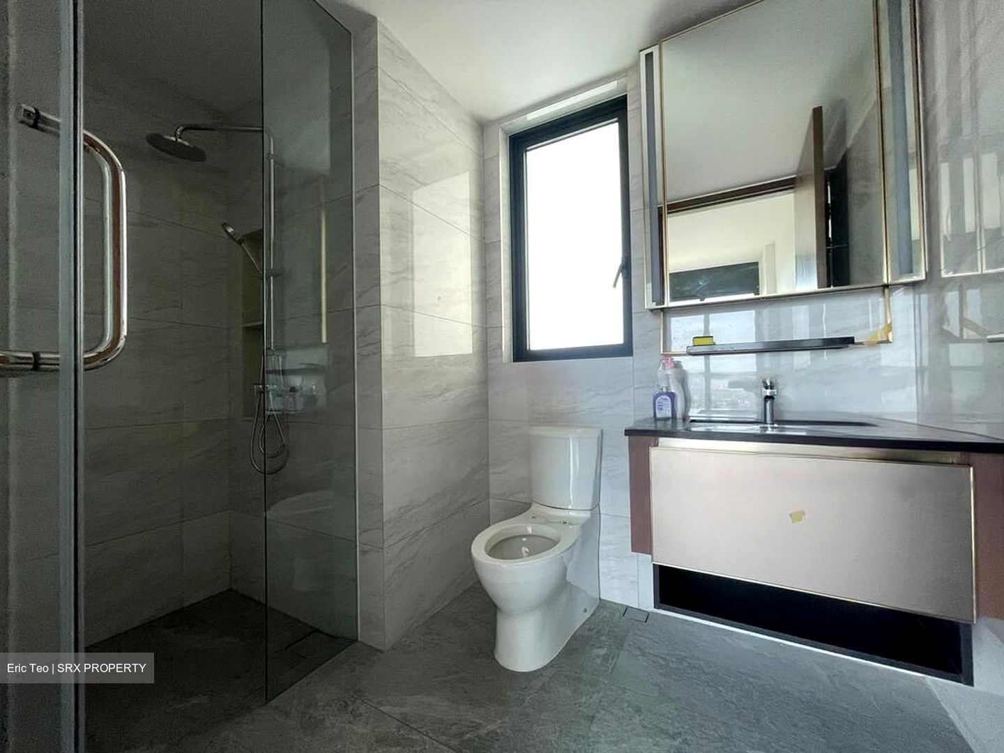 Normanton Park (D5), Apartment #486032471